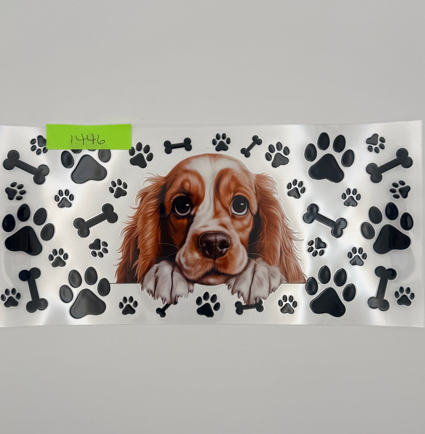 Cavalier