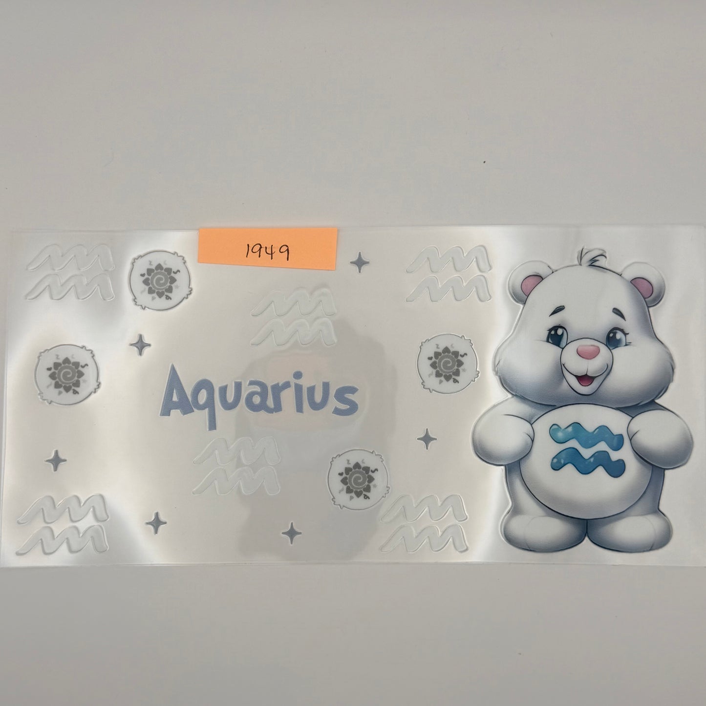 aquarius bear