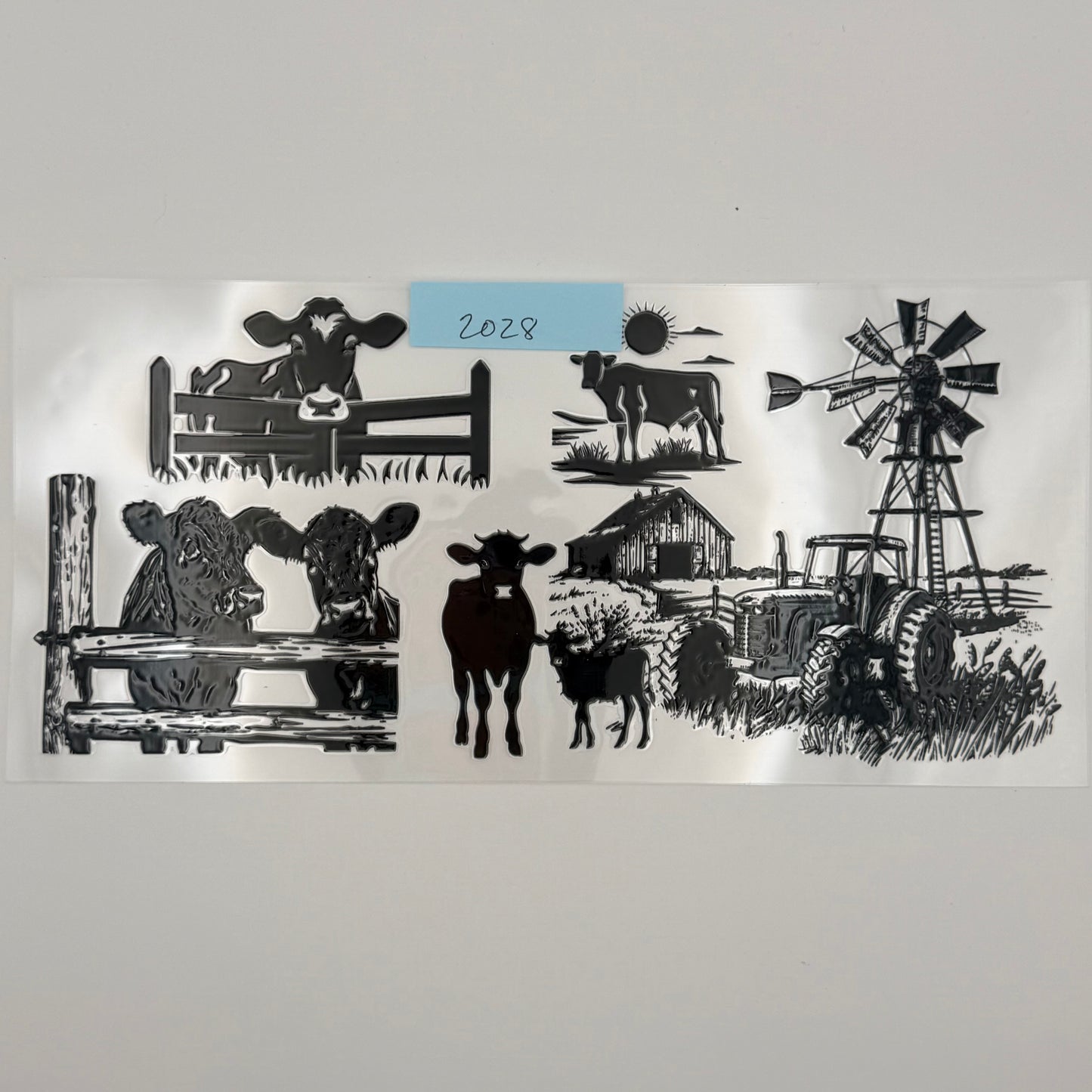 cows (black)