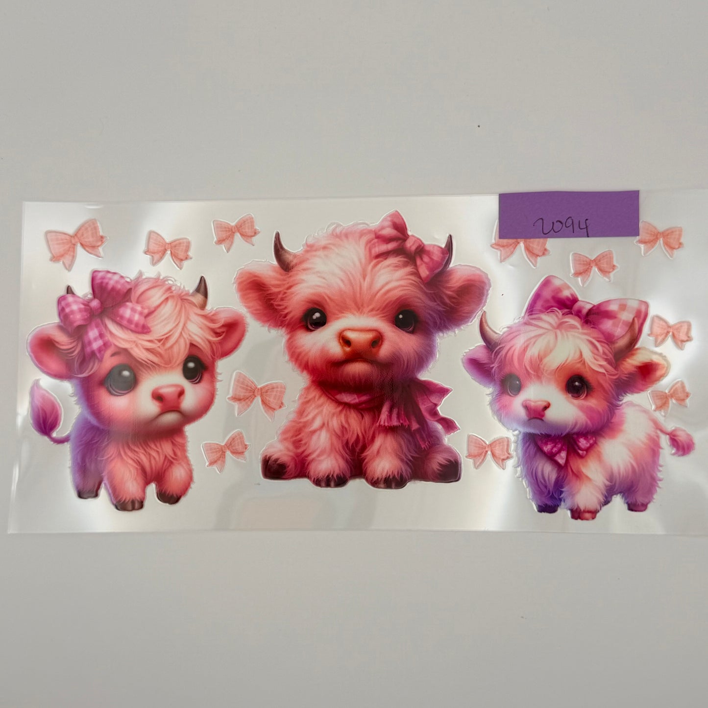 pink highland cows