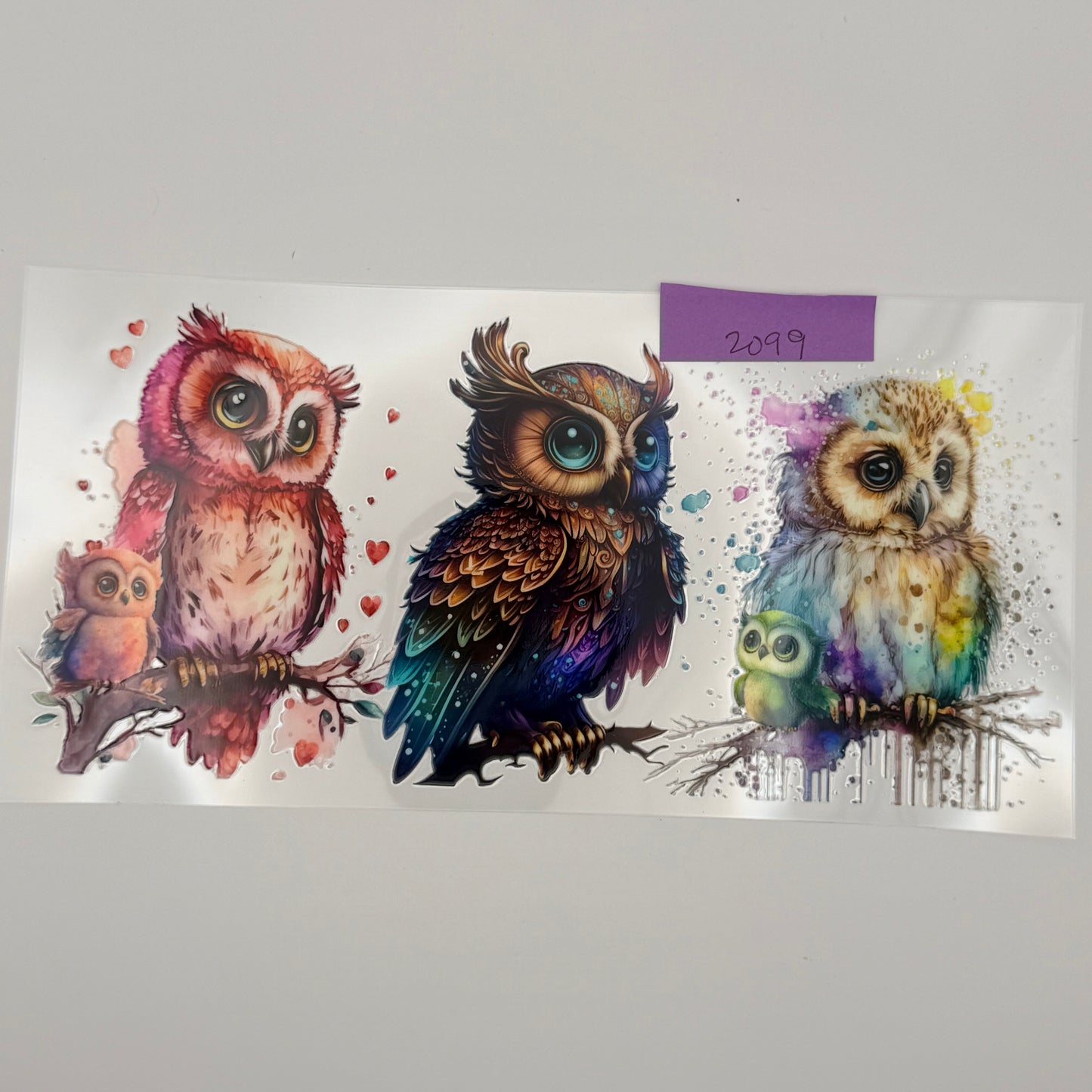 beautiful owls