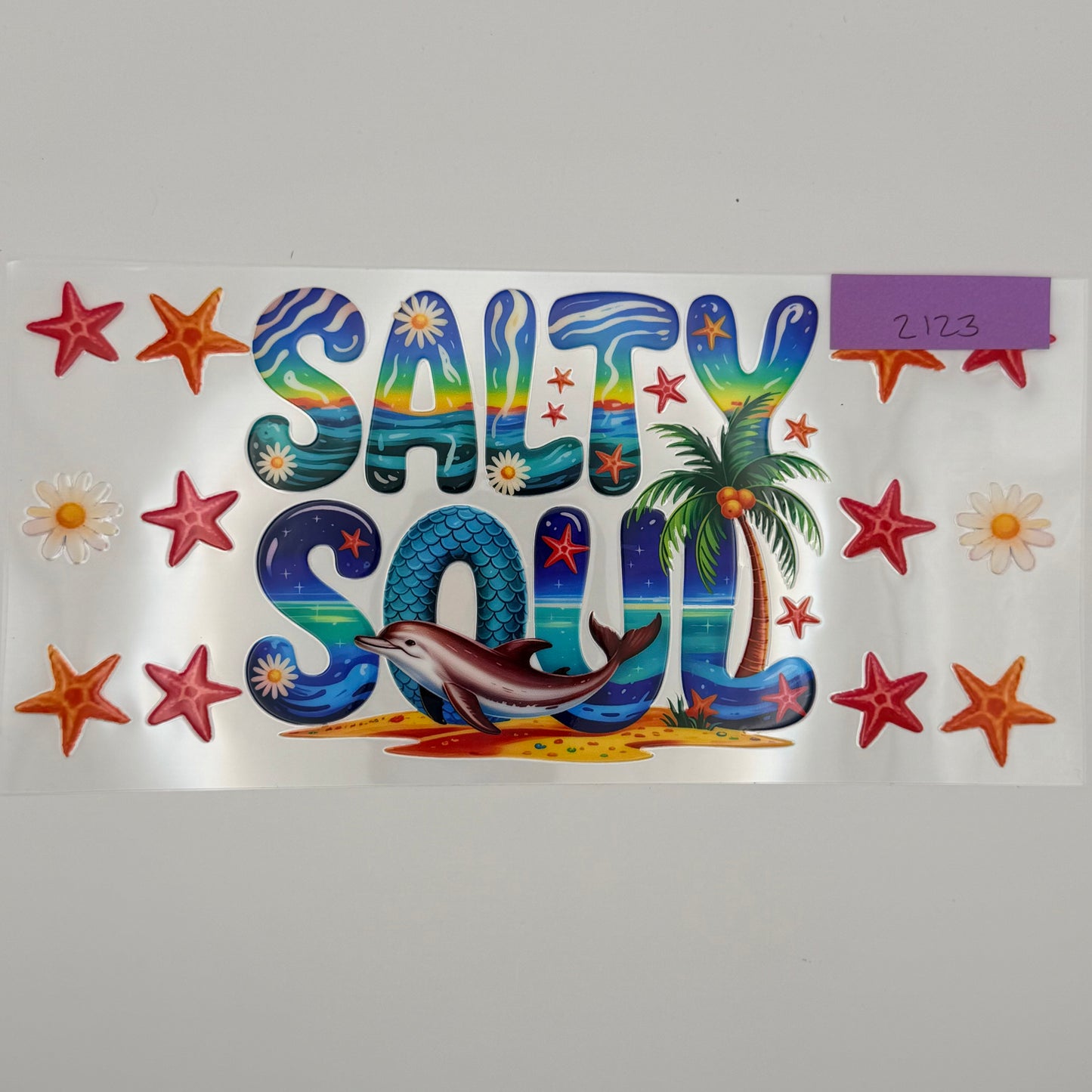 salty soul dolphin