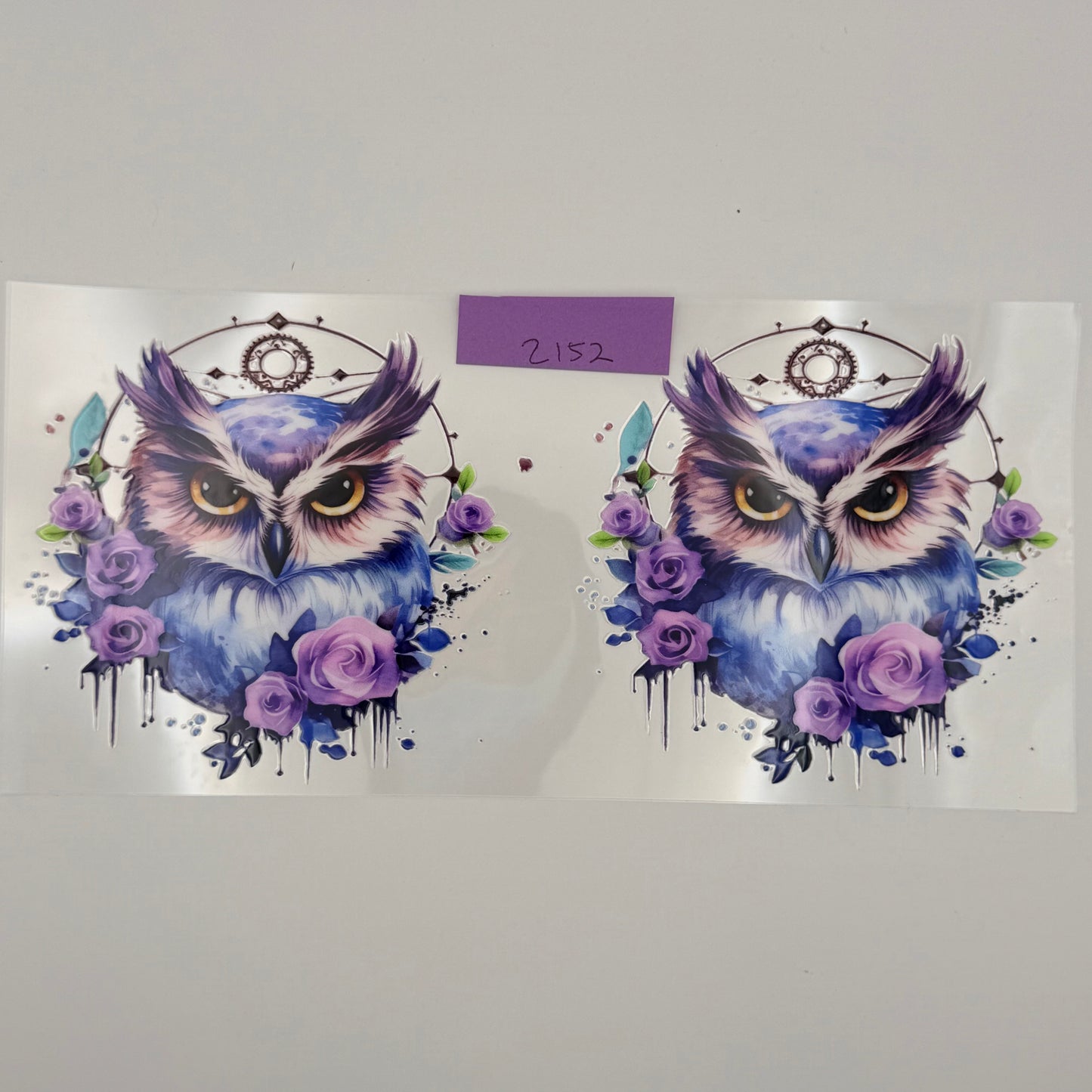 purple owls