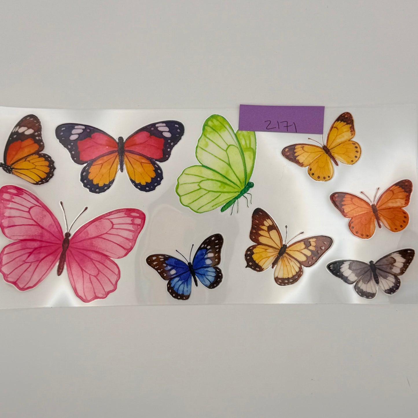 assorted butterflies