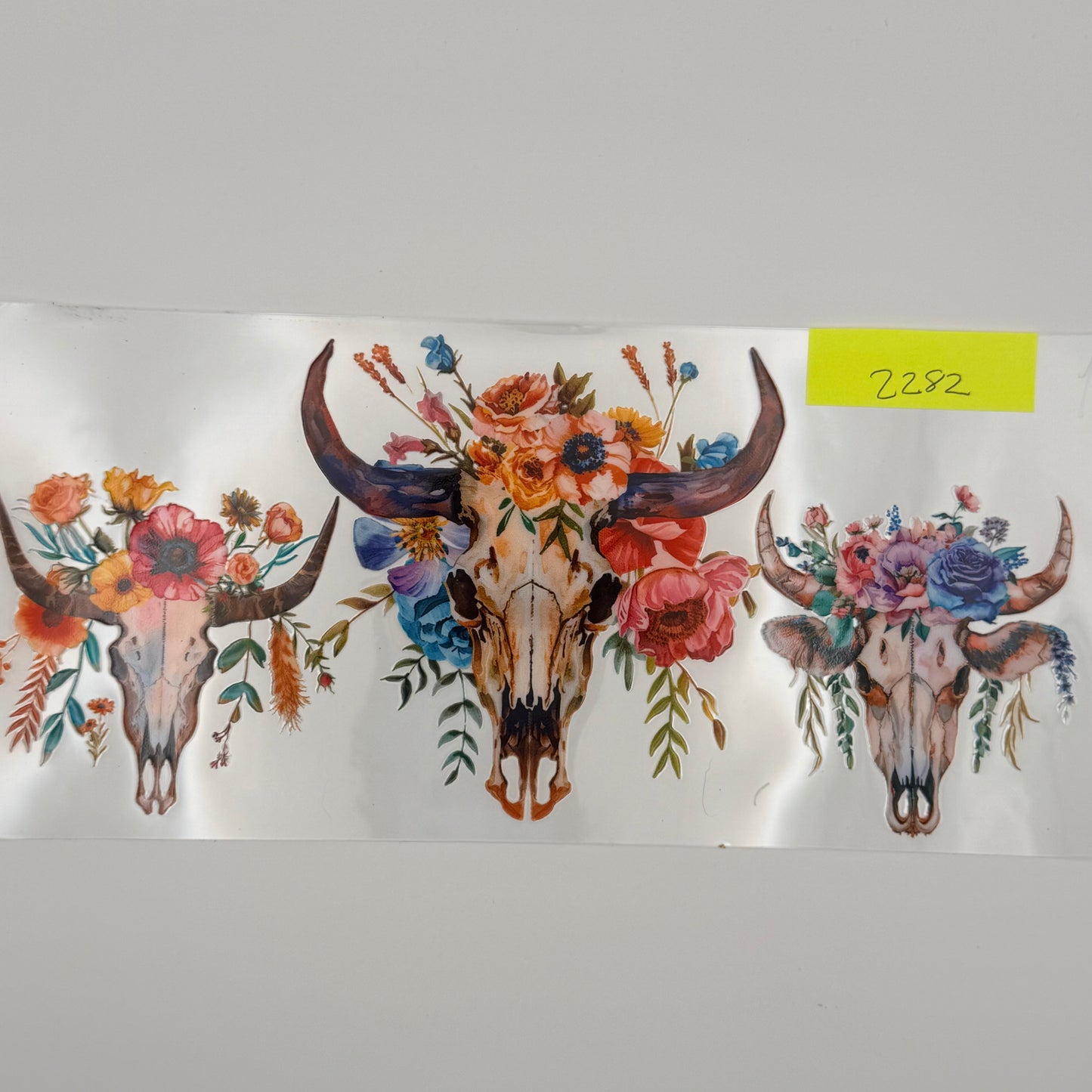 cow skulls and flowers