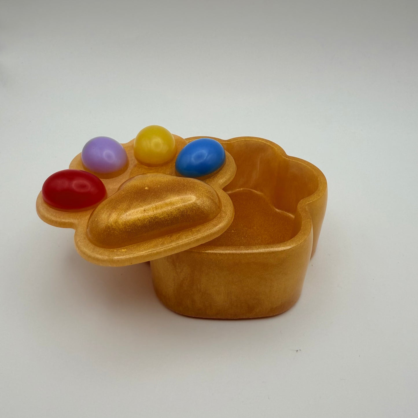 Small Paw Print Colorful Container