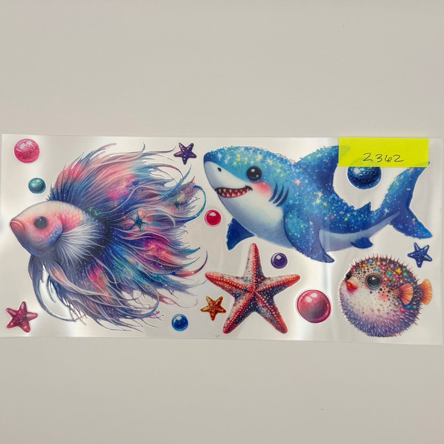 beta, ocean animals