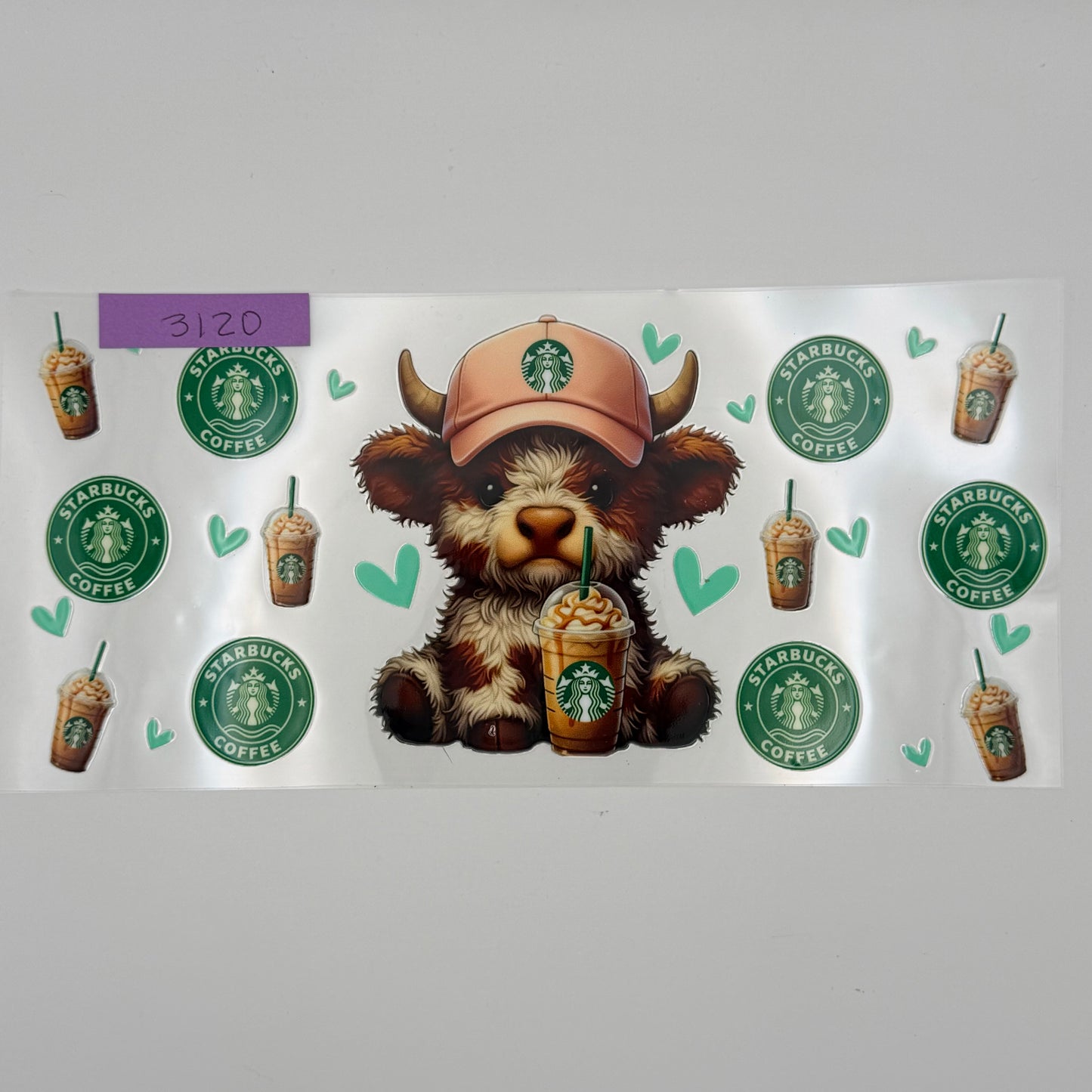 Sbucks highland cow