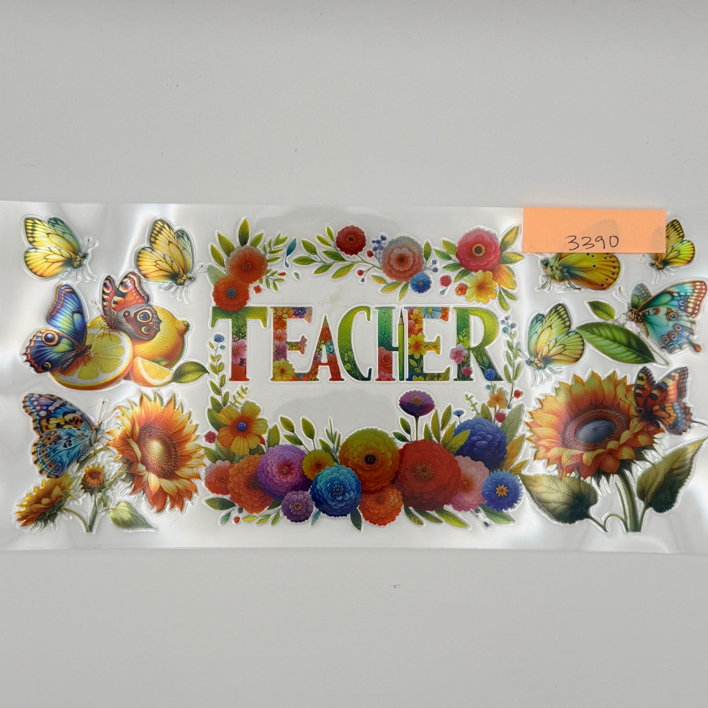 Teacher colorful holographic