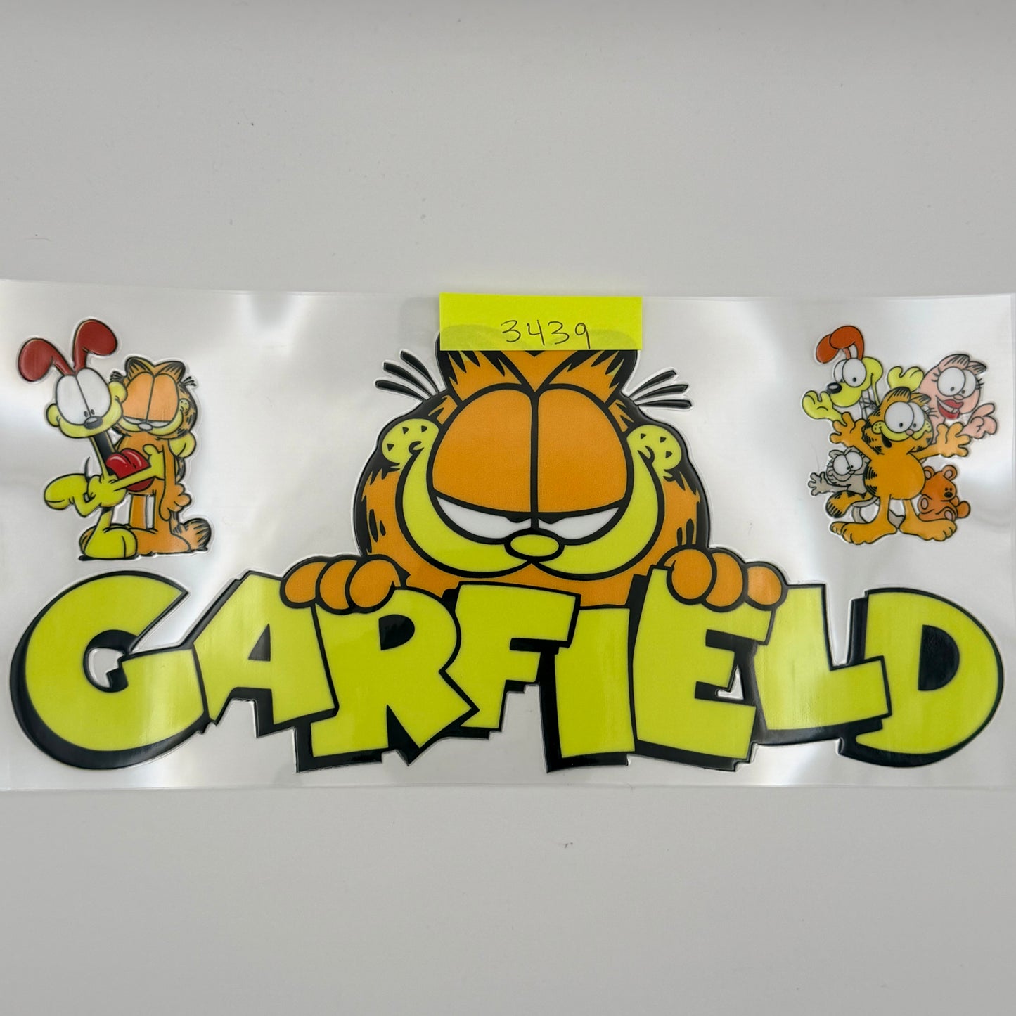 Garfield the cat