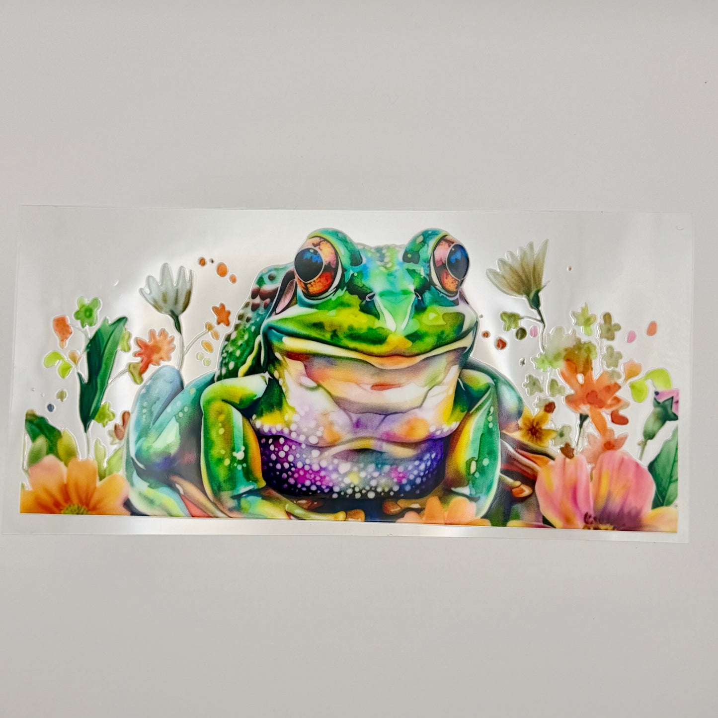 Colorful Frog