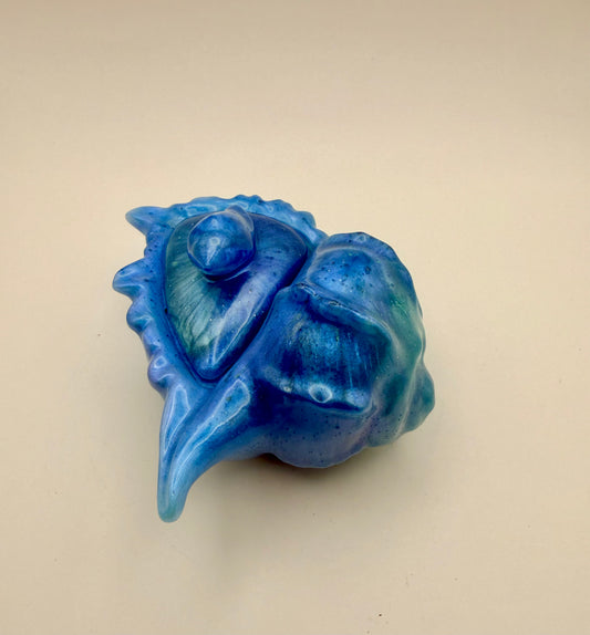 conch shaped container
