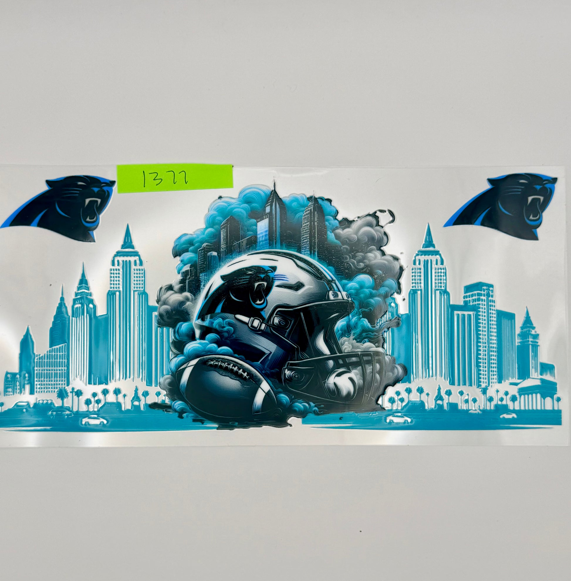 Carolina Panthers 2
