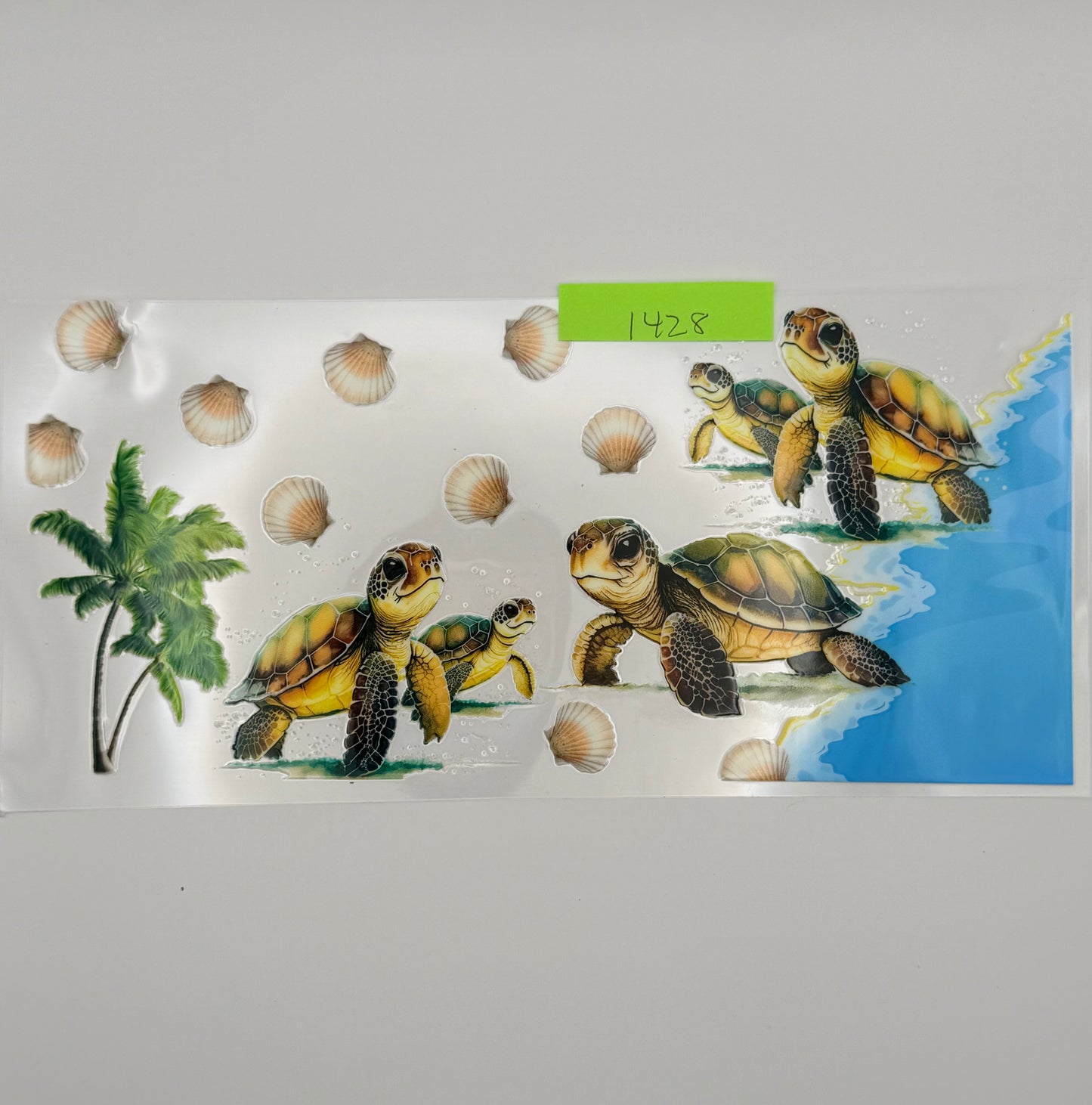 baby sea turtles