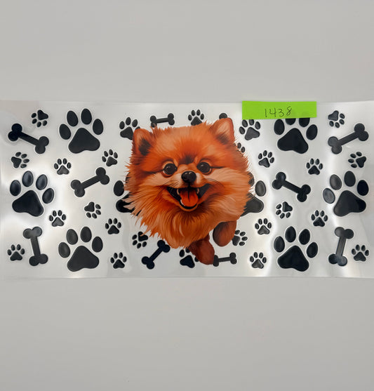 Pomeranian