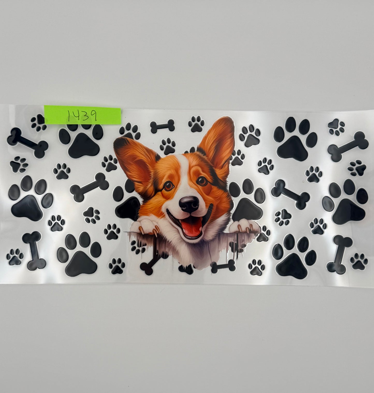 Corgi