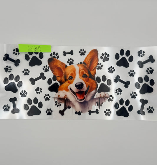 Corgi