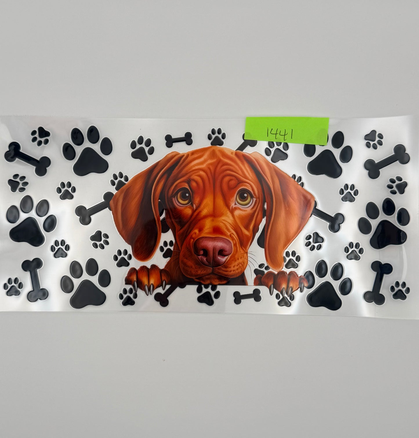 Vizsla