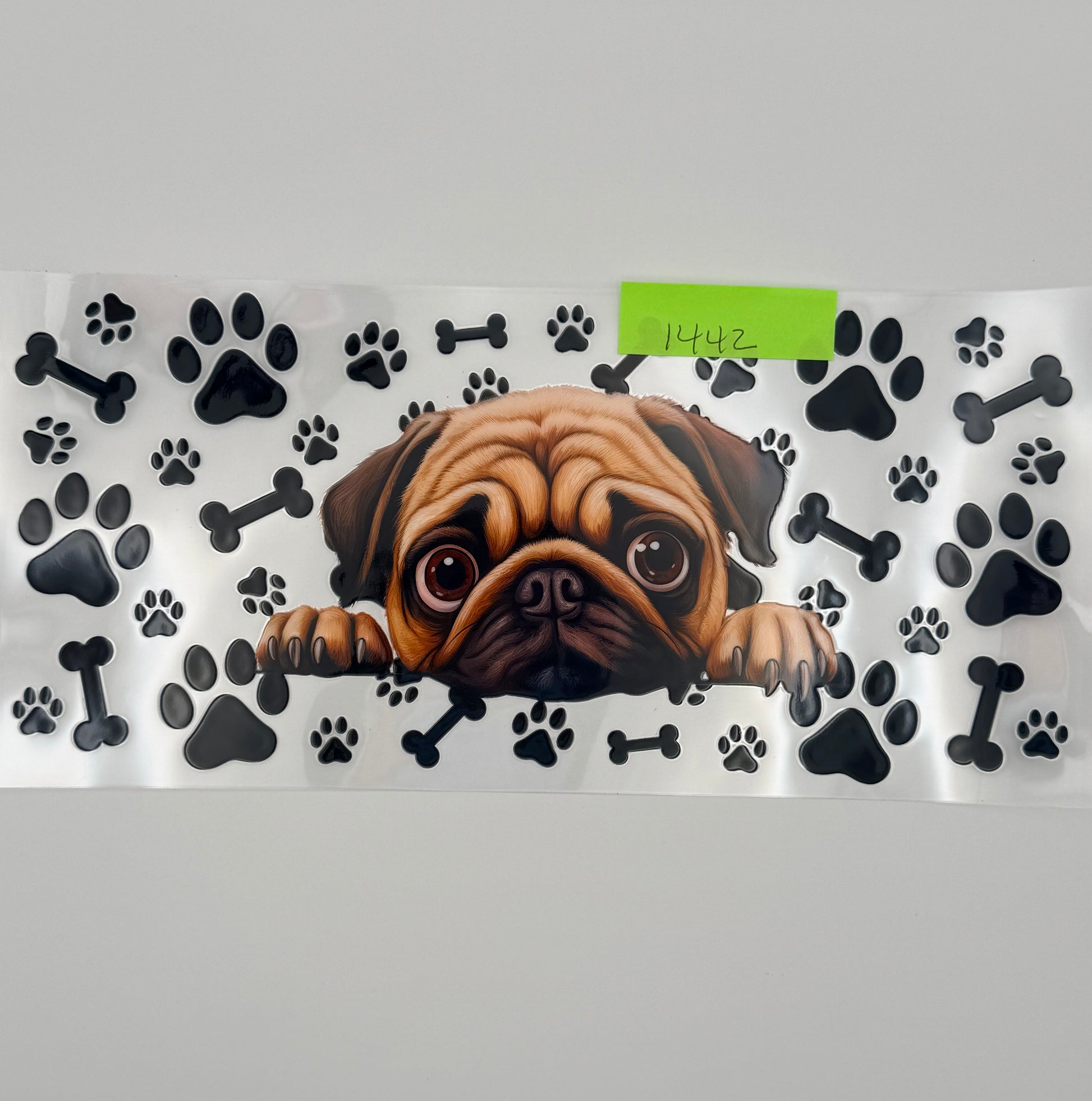Pug