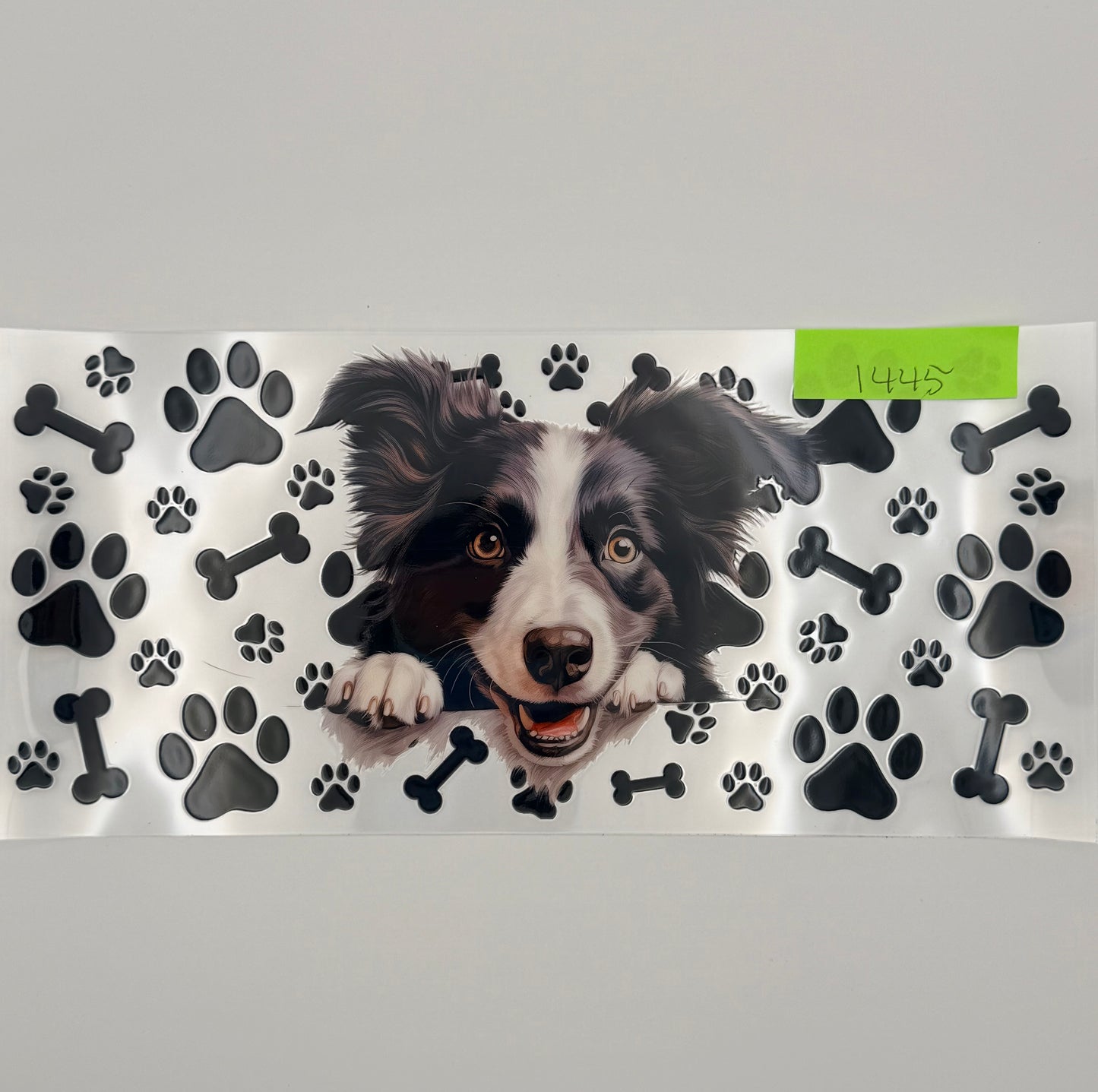 Border Collie