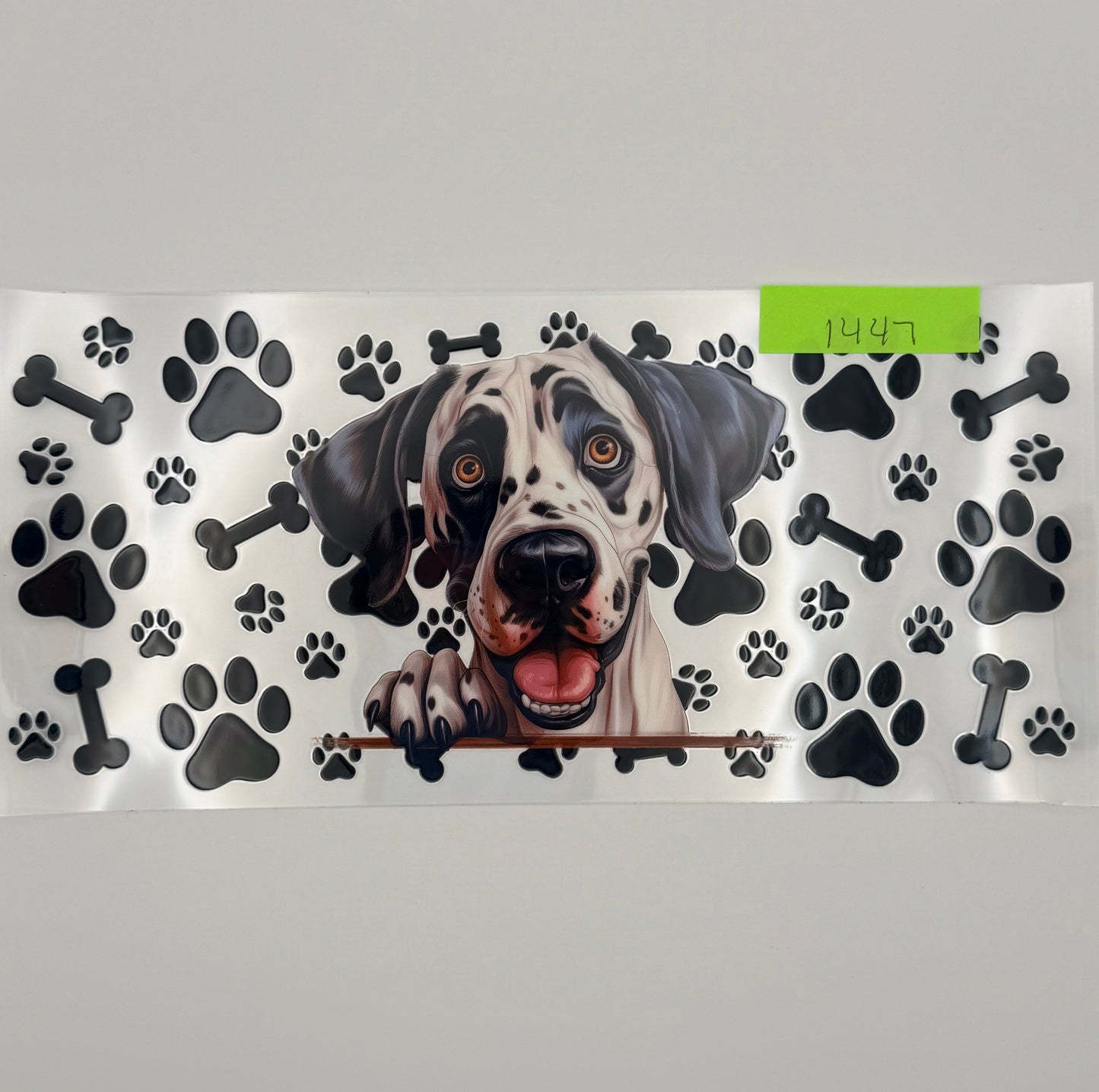 Dalmation