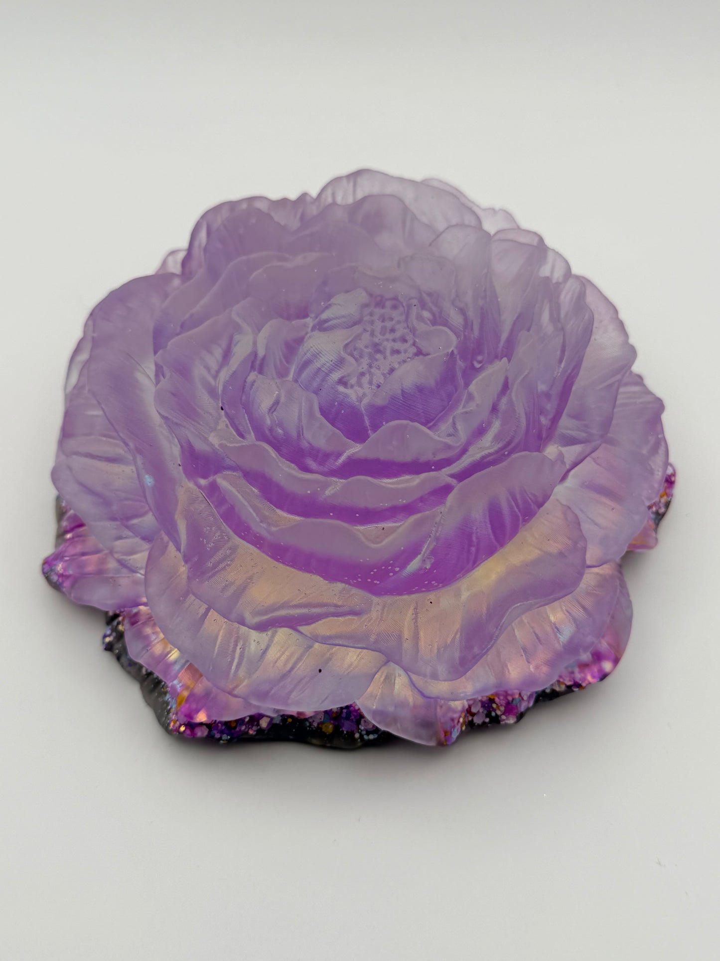 large peony flower
