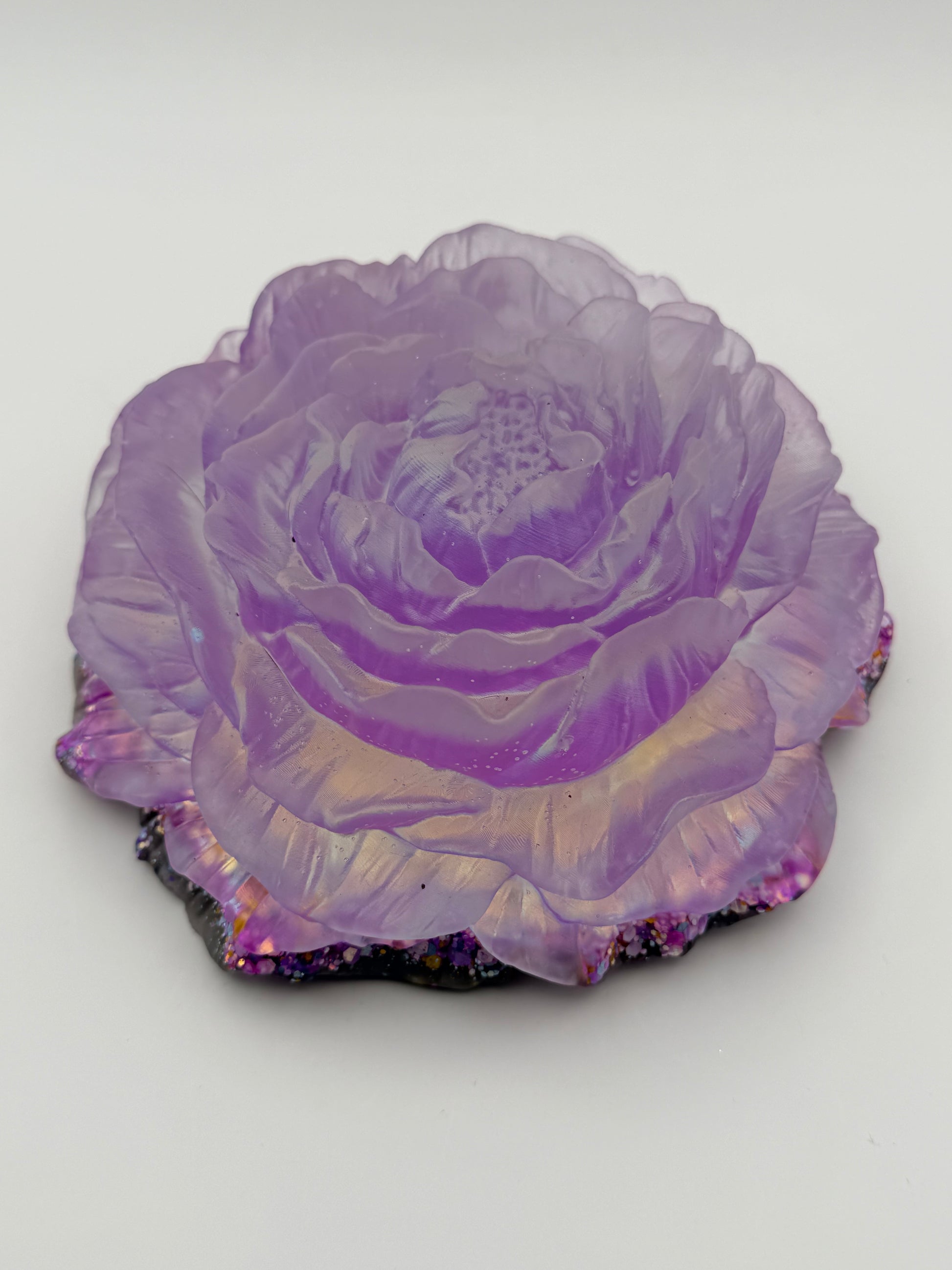 large peony flower