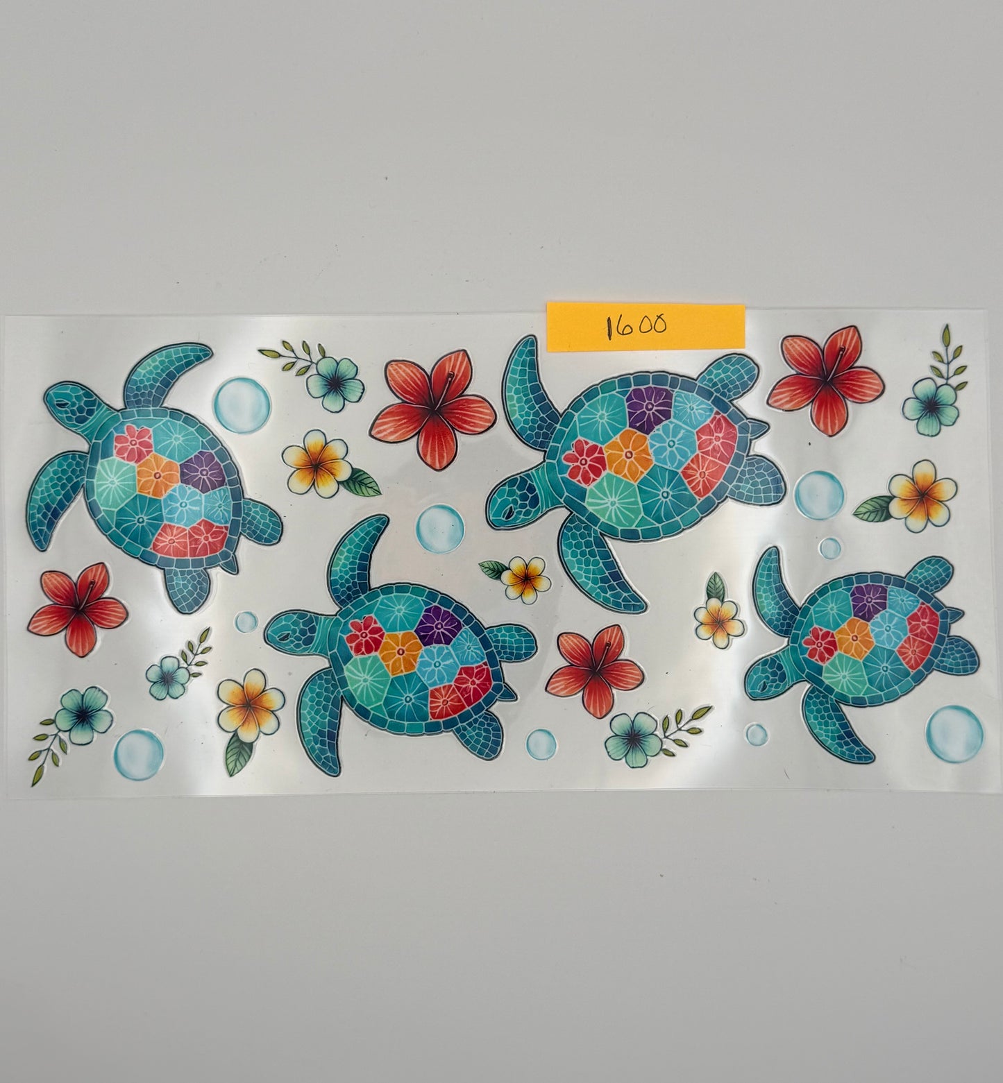 turquoise turtles