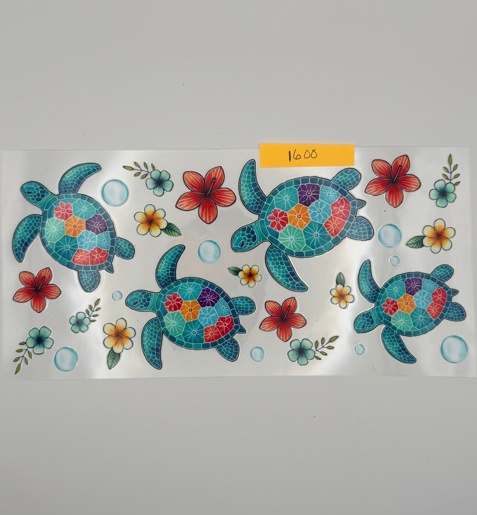 turquoise turtles