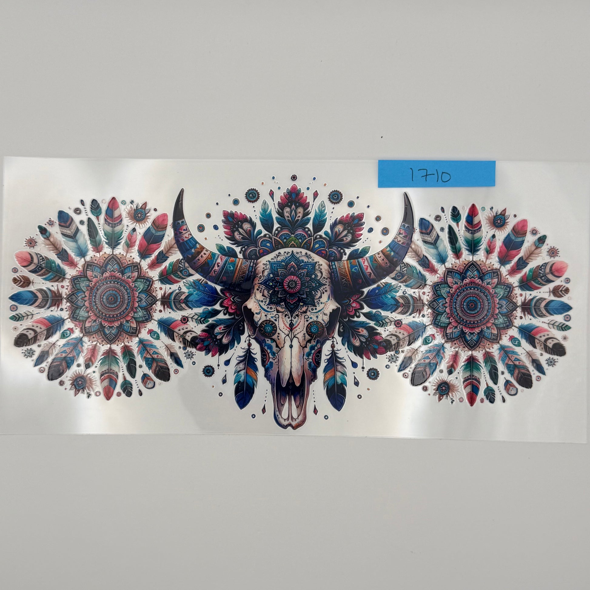 cow skull with feathers