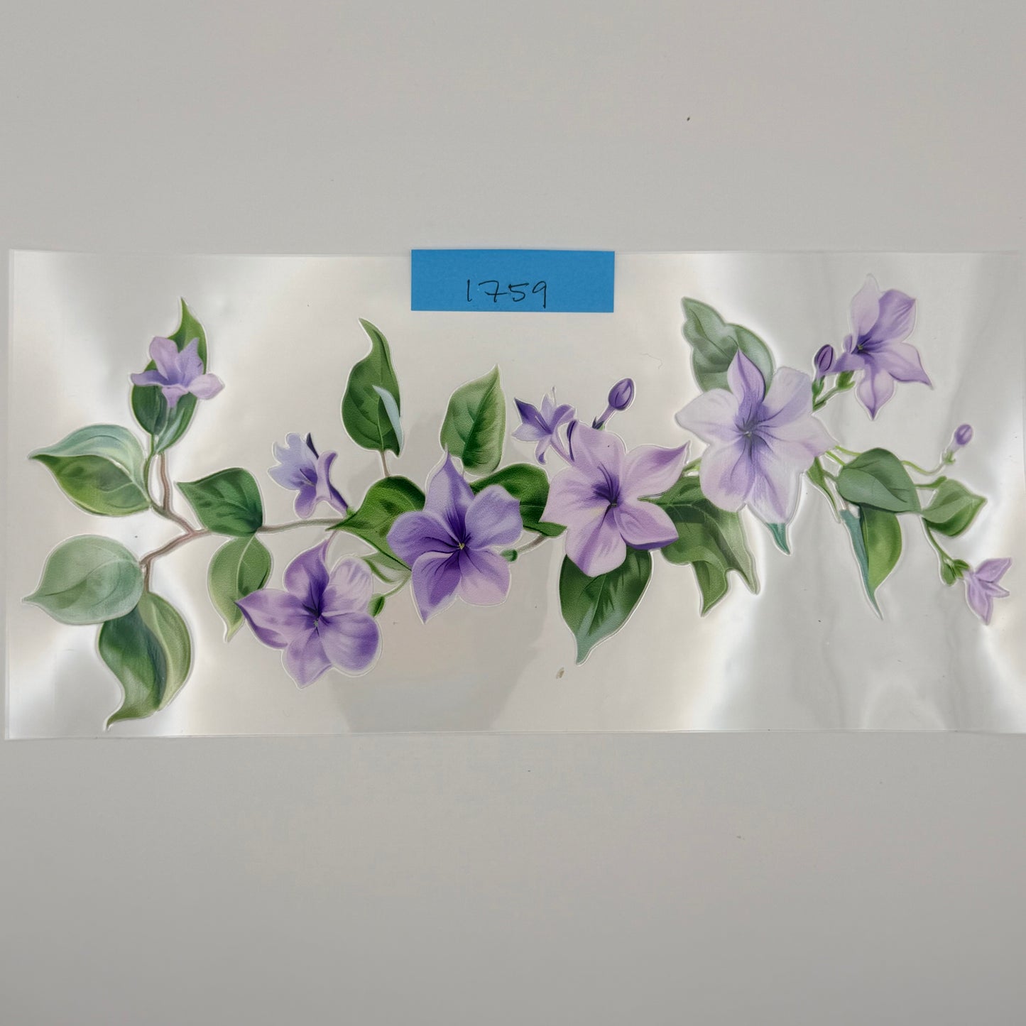 purple flower vine