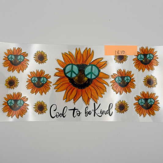 cool to be kind
