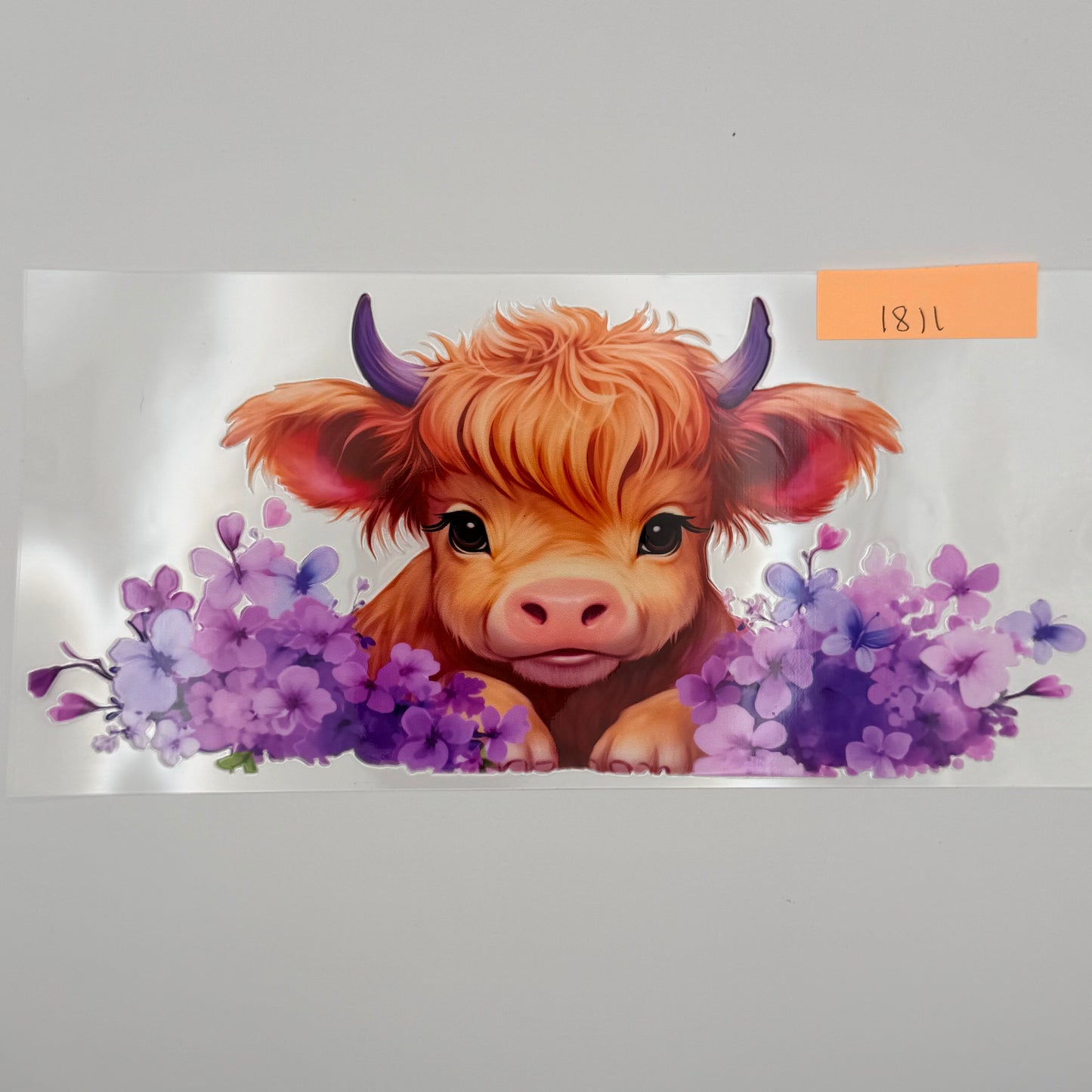 purple highland cow