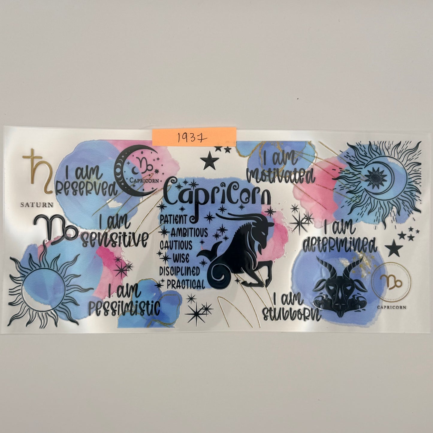 capricorn
