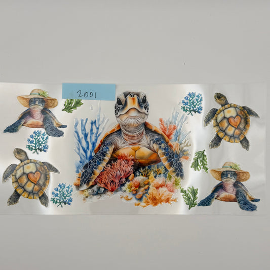 sea turtle love