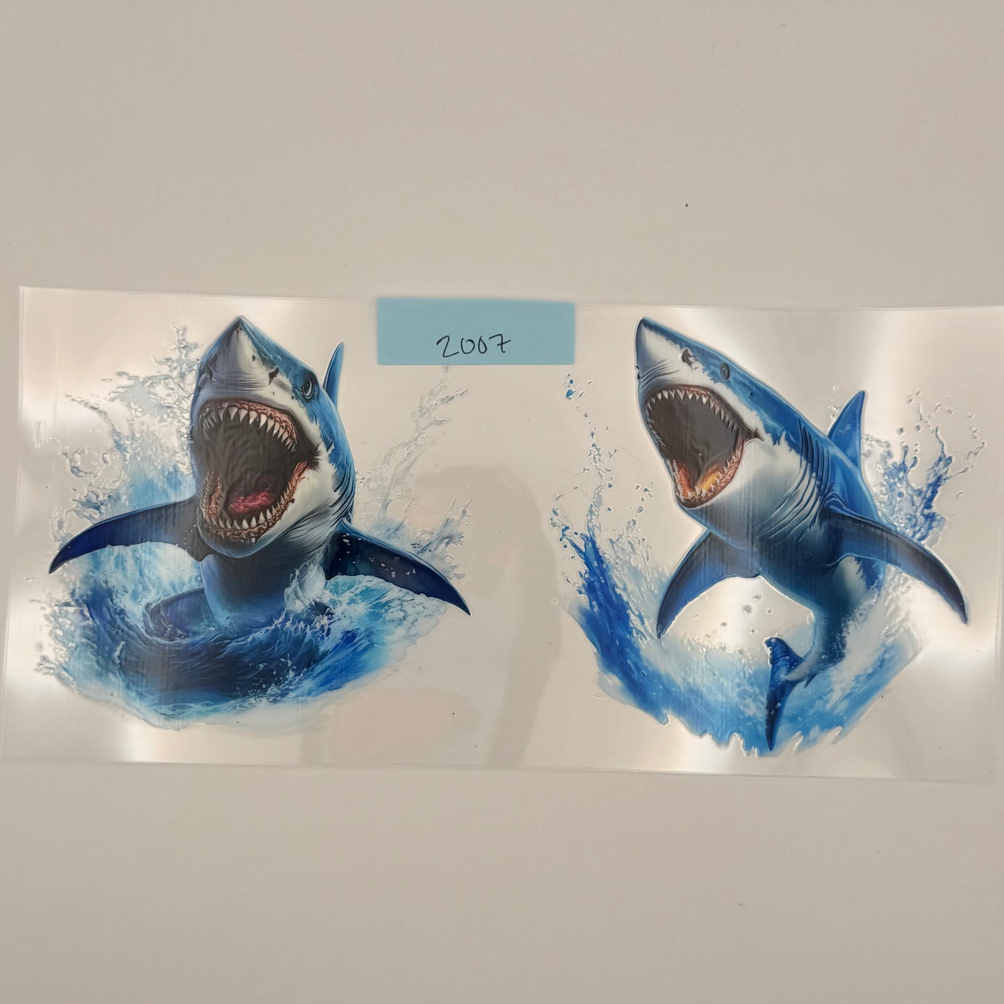 large shark
