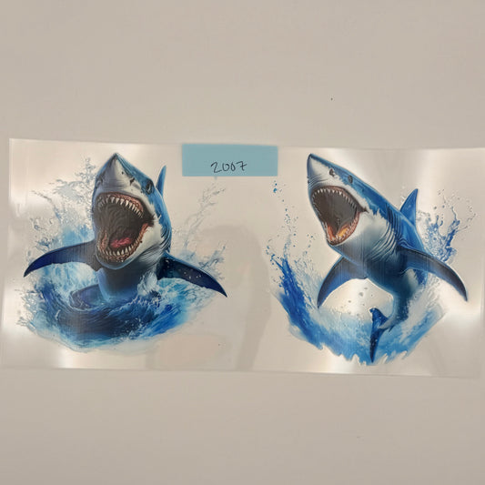 large shark
