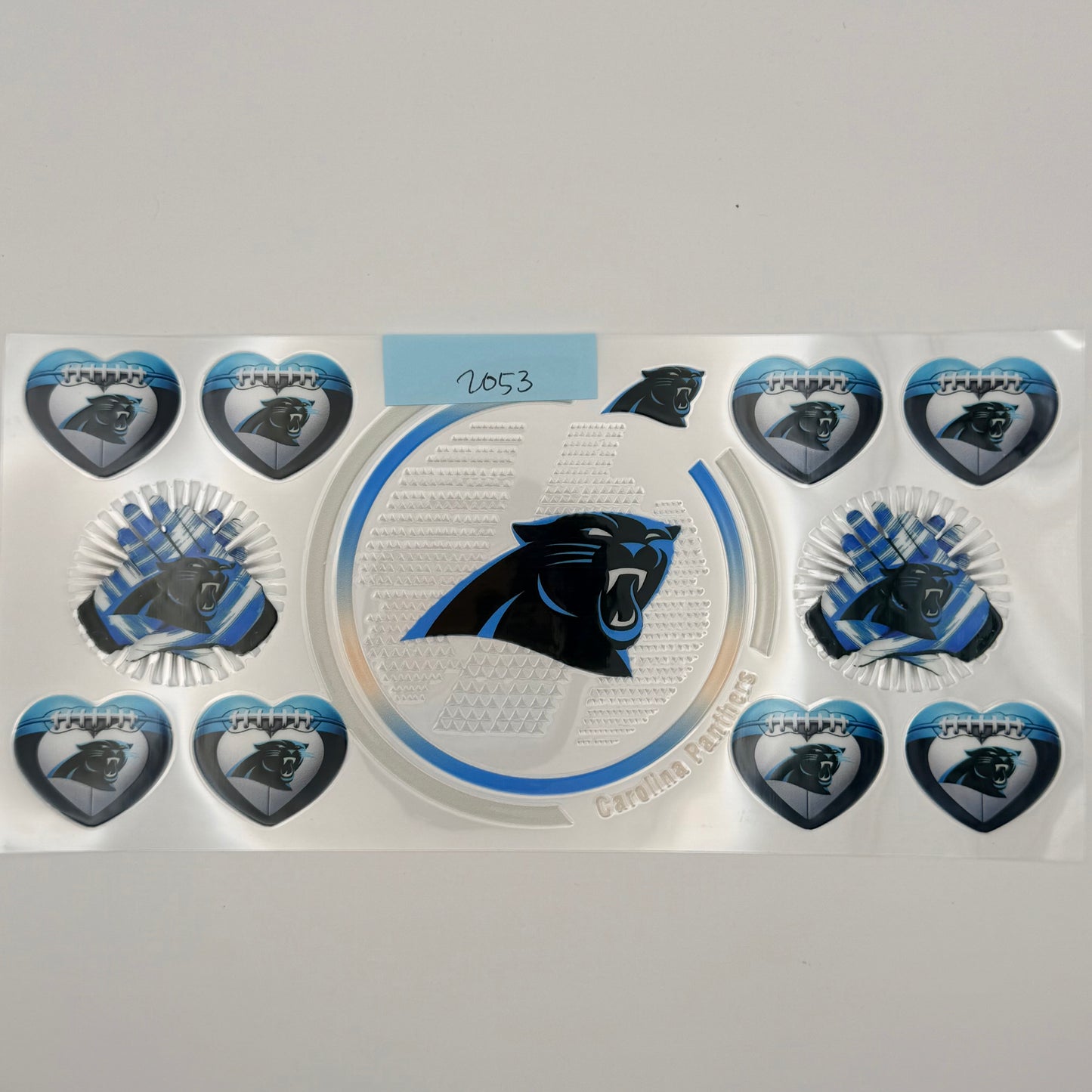carolina panthers
