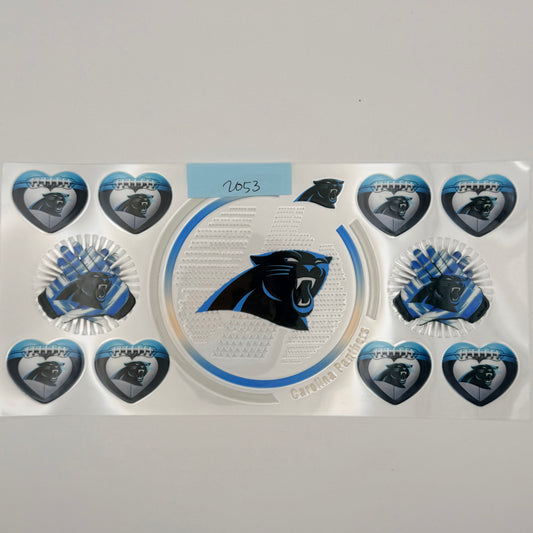 carolina panthers