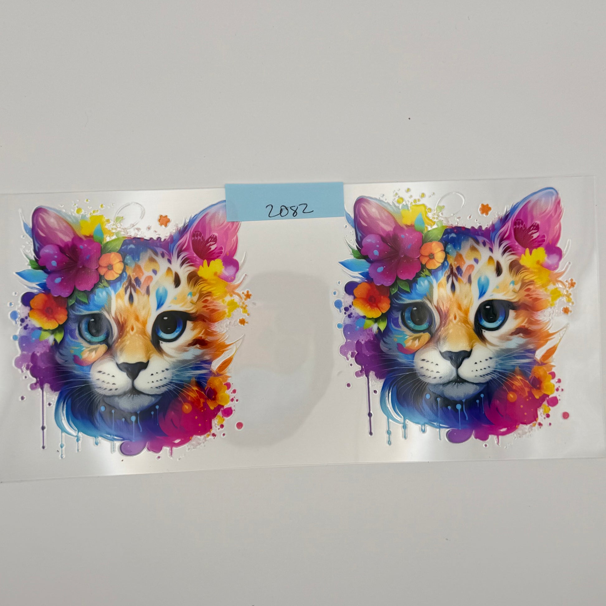 colorful kitties