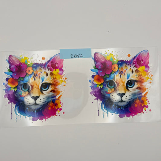colorful kitties