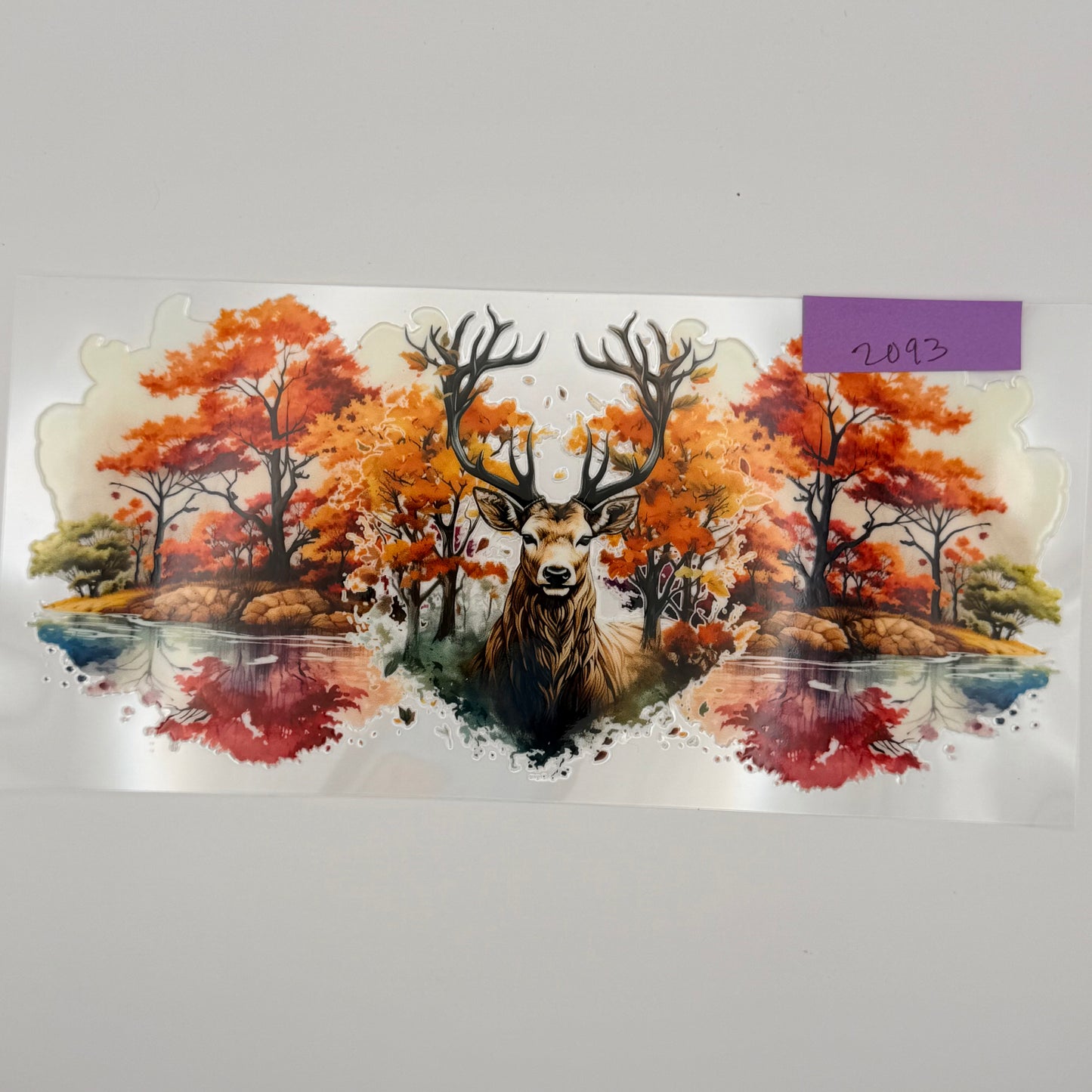 fall deer/buck