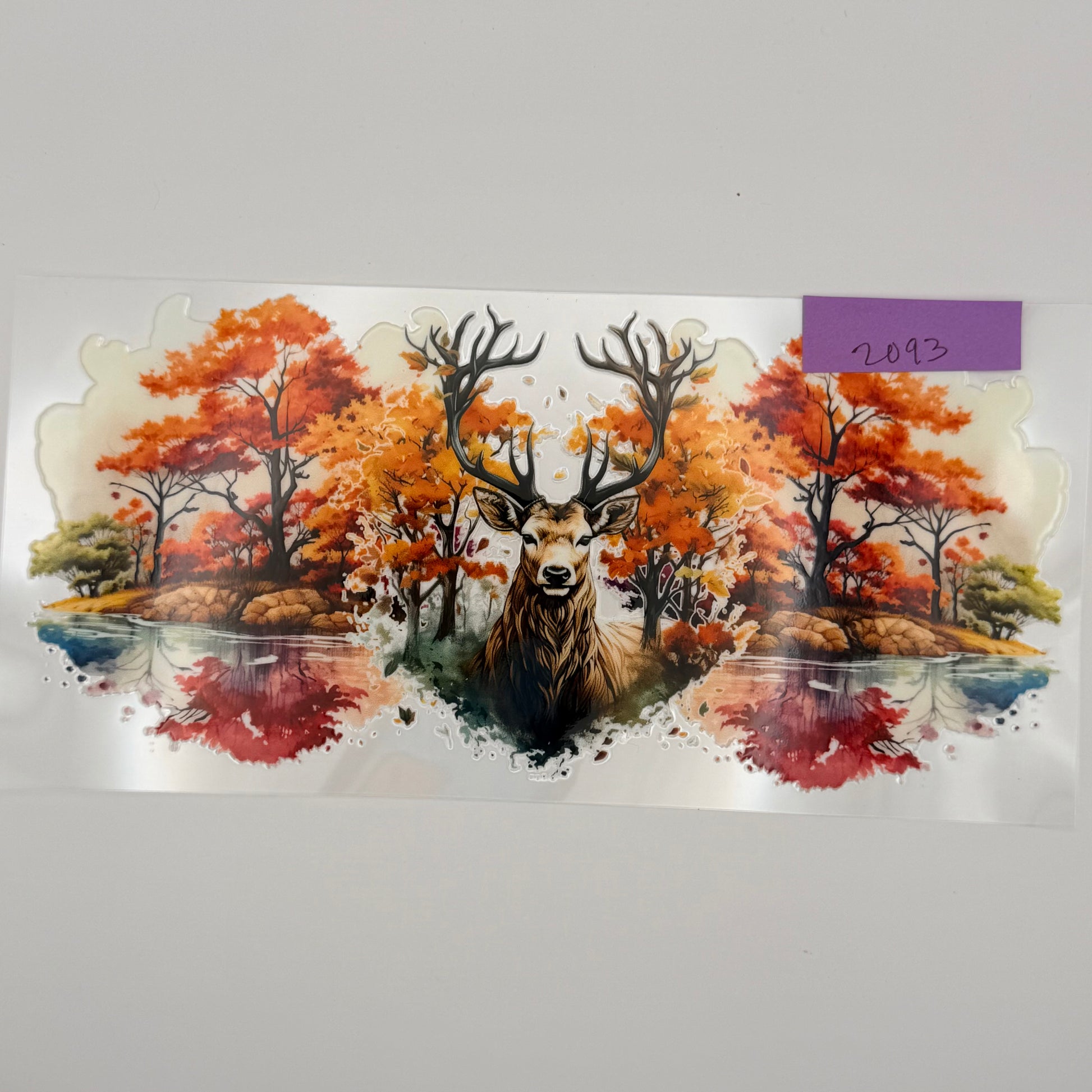 fall deer/buck