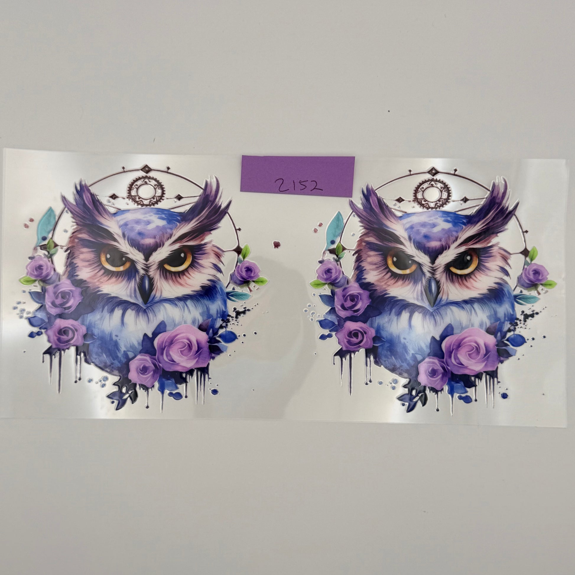 purple owls