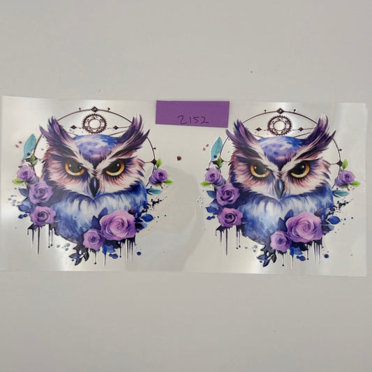 purple owls