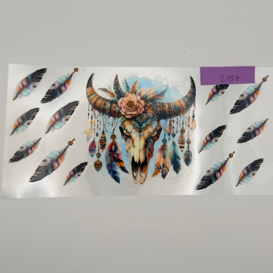 cow skull with feathers