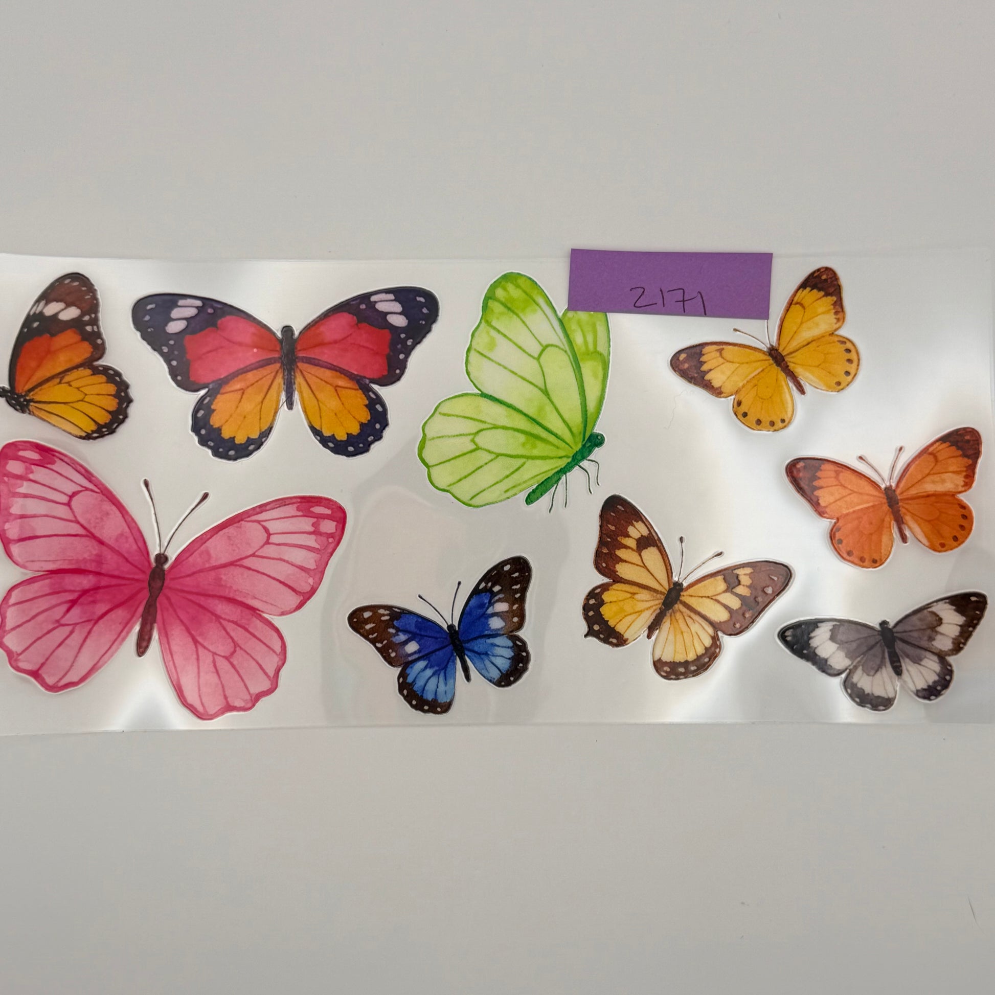 assorted butterflies