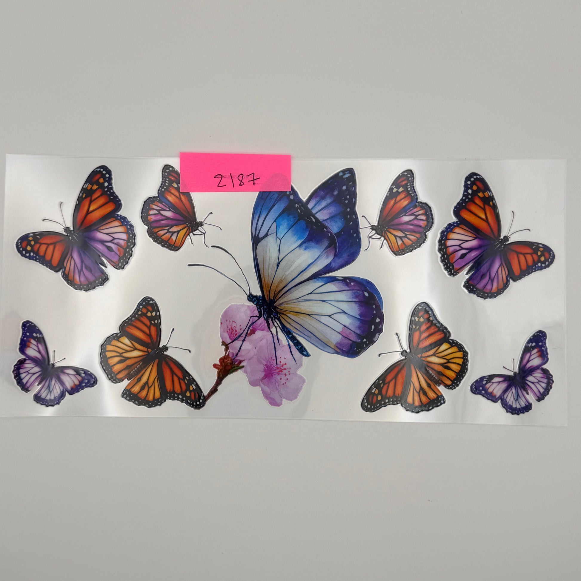 monarch butterflies