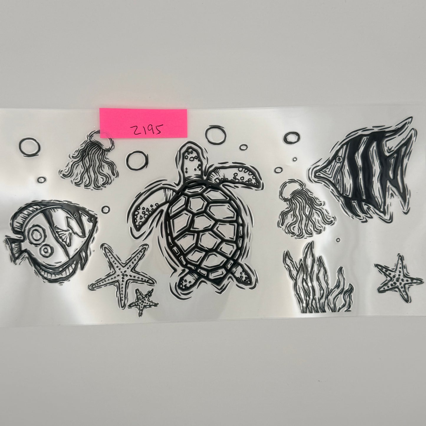 sketched ocean animals