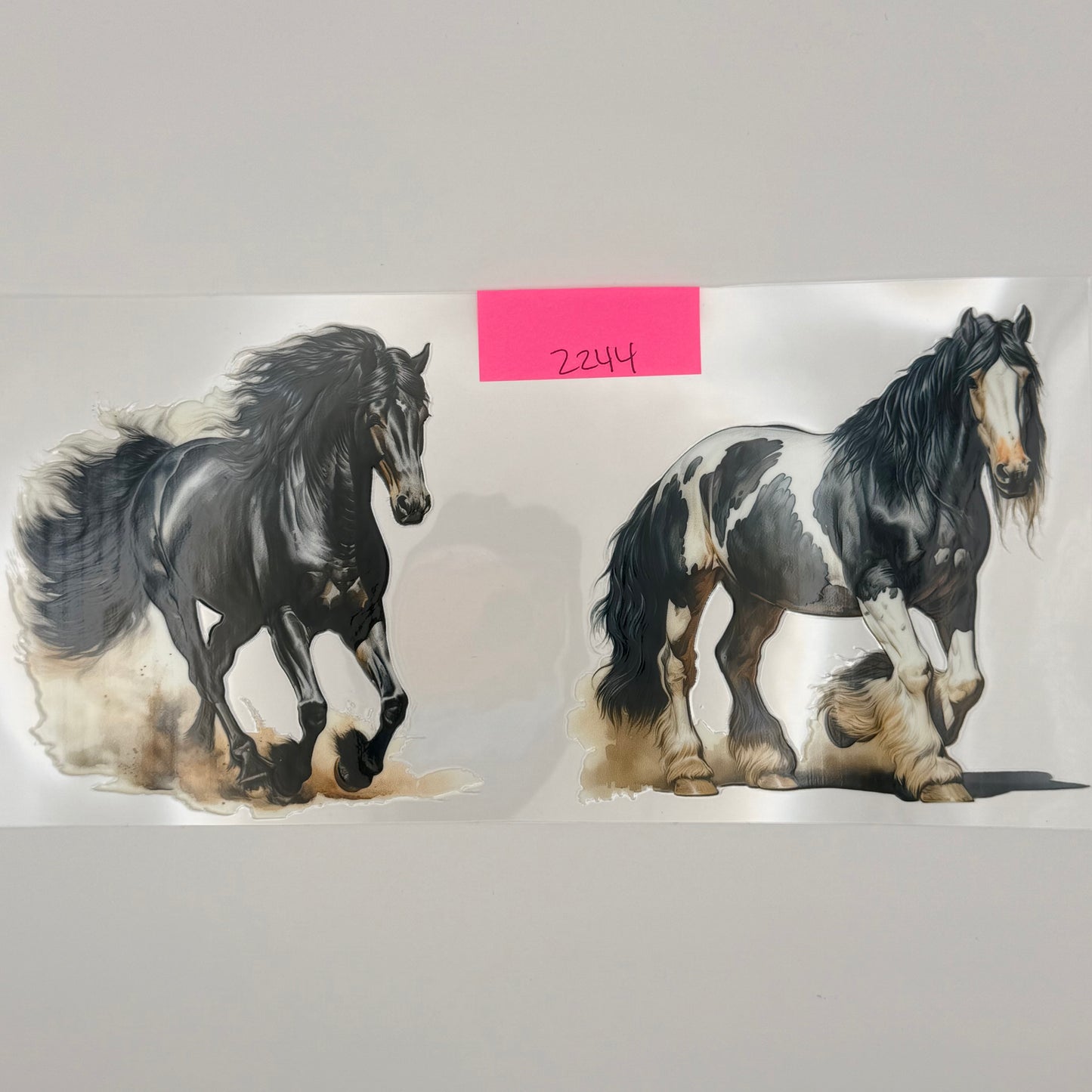 black and white horses